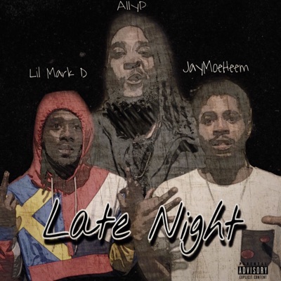 Late Night (feat. AllyP & JayMoeHeem) - Single