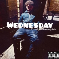 Wednesday (feat. Xthedolphin) - Single - Bray Costello