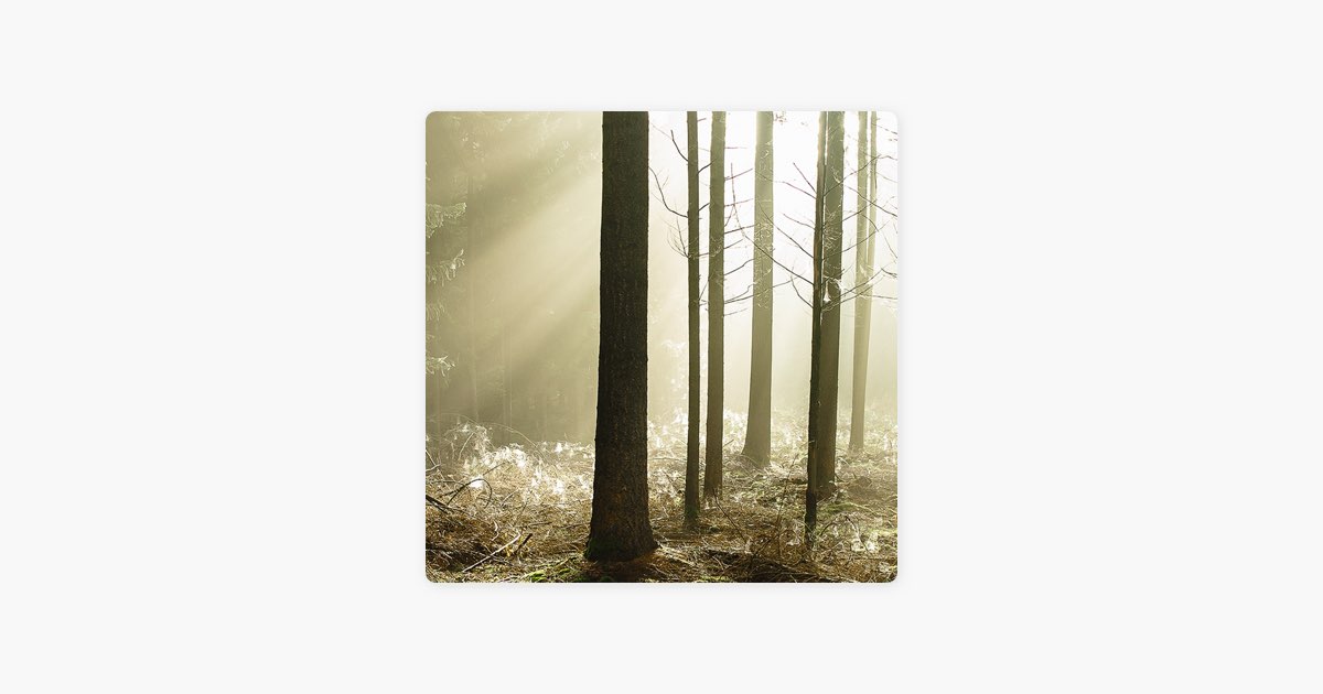 MVSK – Song by 黄诗仁 – Apple Music MVSK by 黄诗仁 on Apple Music