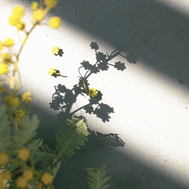 New Neighbors - Homecomingsのアルバム - Apple Music