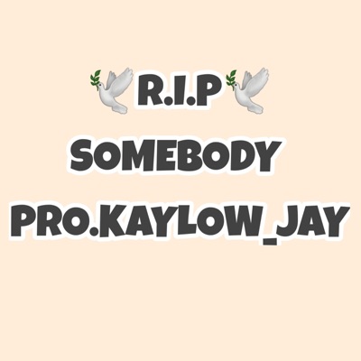 Kaylow_Jay - R.l.P SOMEBODY