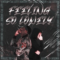 Feeling So Lonely (feat. Zae Litty) - Single - DontENV
