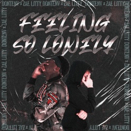 Feeling So Lonely (feat. Zae Litty) DontENV