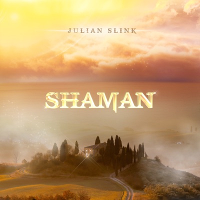 Shaman - Single