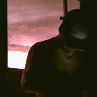 Vida de Artista - Single - Lowzinofc