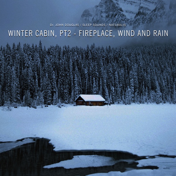 Winter Cabin, Pt. 2 (Fireplace, Wind and Rain)