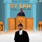 By Law (feat. Mic Monsta) - Big AC lyrics