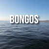 Bongos - Single