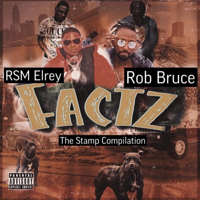 Factz (feat. RSM Elrey & Rob Bruce) - Single