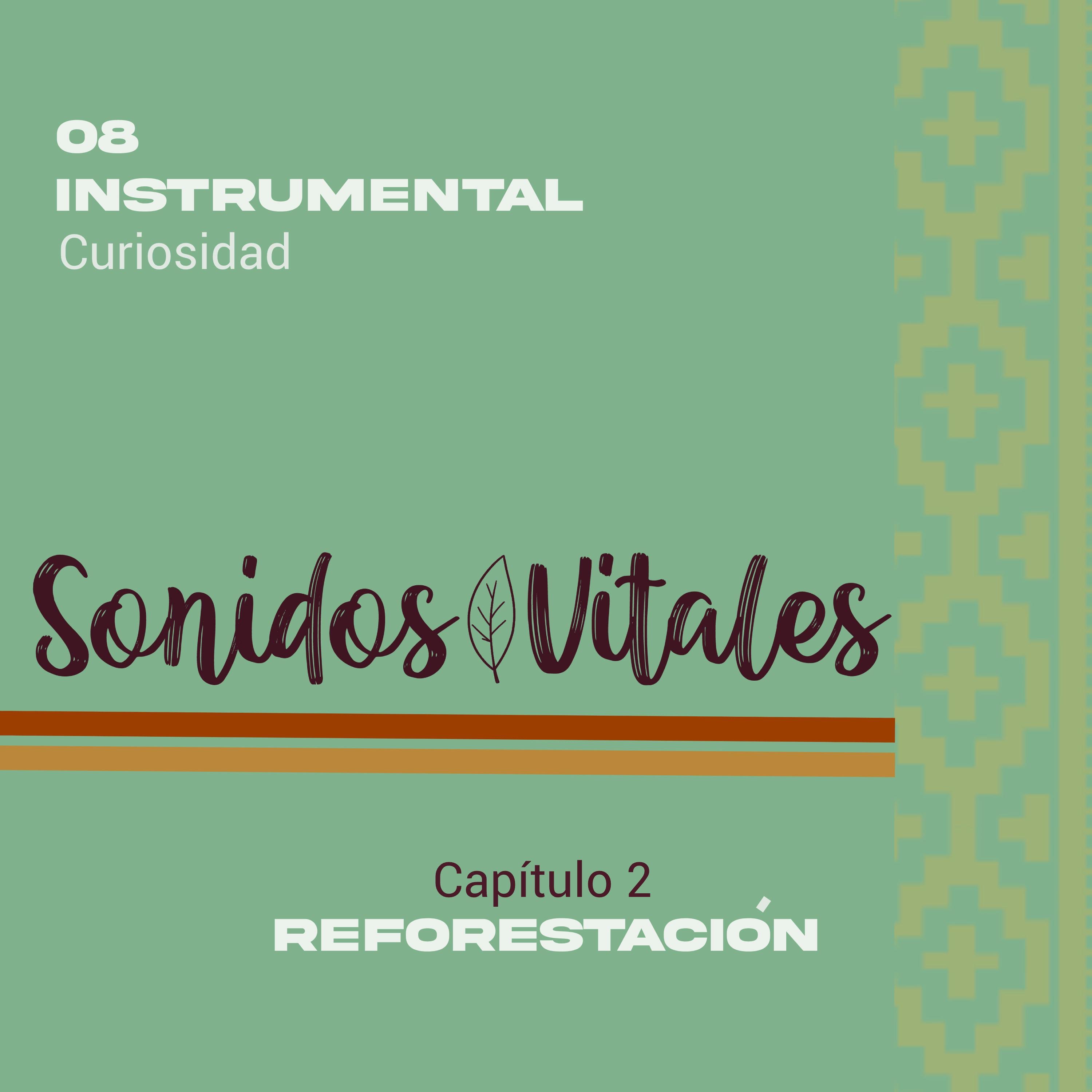 08 Curiosidad - Single