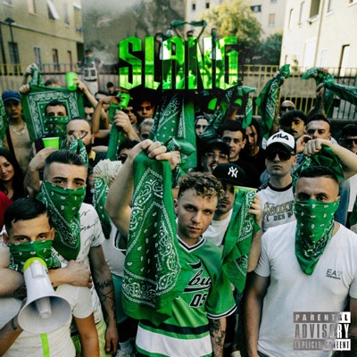 Slang #2 (feat. Li0n) - Single