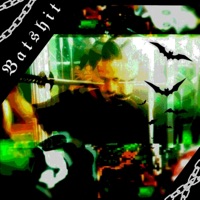 Batsh!t - Single - everything but rich