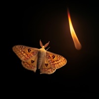 Masochistic Heart - Single - David Bashford