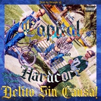 Delito Sin Causa! - Capital Hardcore