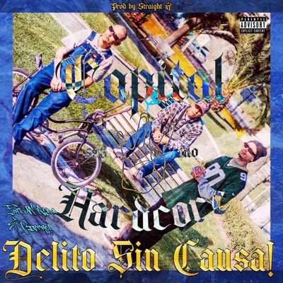 Delito Sin Causa!