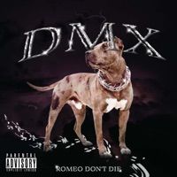 DMX - Single - Romeo Don't Die