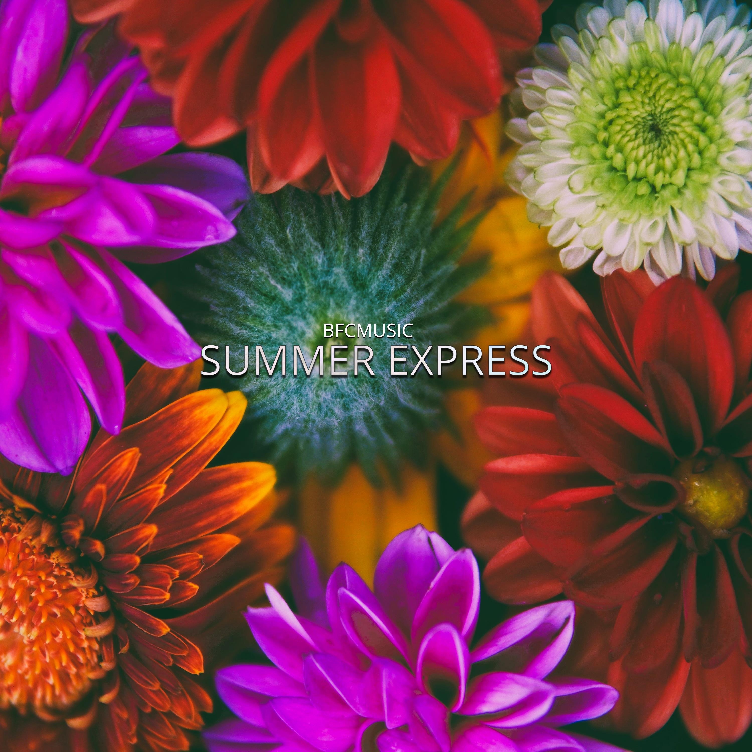 Summer Express - Single