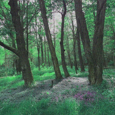 appeal (feat. VITO) - Single