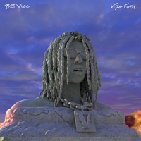 Vida Futil - BR Vlec & QVS