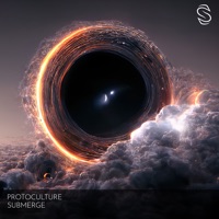 Submerge - Single - Protoculture