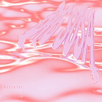 Big Sosa - Single - Tommy Flo