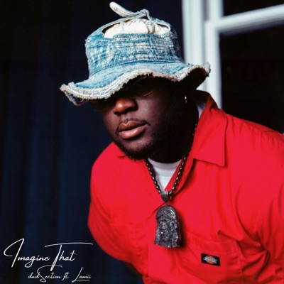 Imagine That (feat. Lamii) - Single
