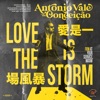 Love Is the Storm - Single