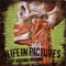 Red Fall - Life In Pictures lyrics