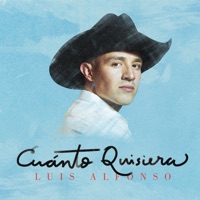 Cuánto Quisiera - Single - Luis Alfonso