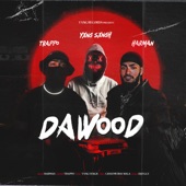 Dawood artwork