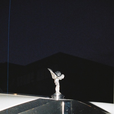 Public Transportation - Single