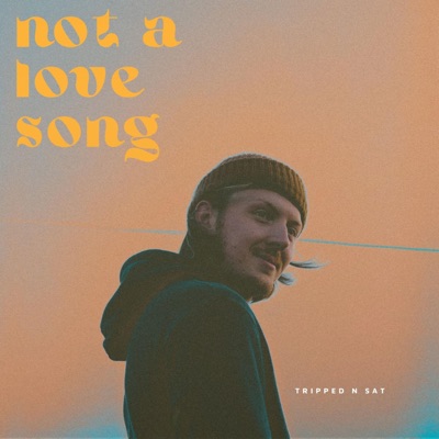 Not a Love Song - Single