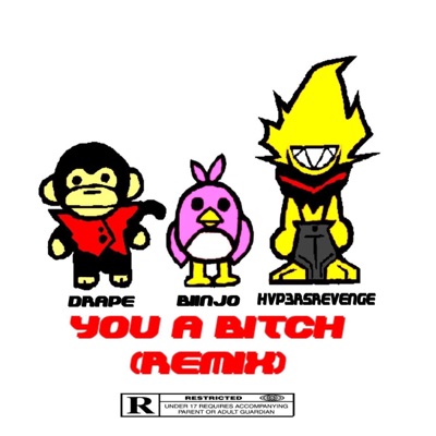 YOU A BITCH (feat. HVP3RSREVENGE & Biinjo) [REMIX] - Single