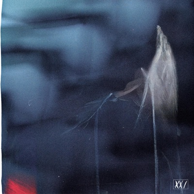 Void / Contre-Sens (feat. Chrysalis, Plante Carnivore, Pierrot Moon & waerry) - Single