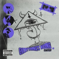 Everything's Wrong - Single - Exactesy