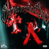 Dynamic Duo - Single - WhyTrevxr