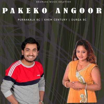 Pakeko Angoor - Single
