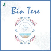 Bin Tere artwork