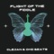 Flight of the Fiddle - Clejan & Ohd Beats lyrics