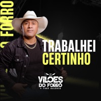 Trabalhei Certinho - Single - Vilões do Forró e Tony Baldock