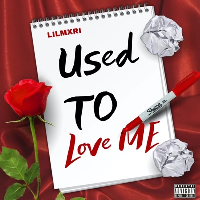 Used To Love Me - Single