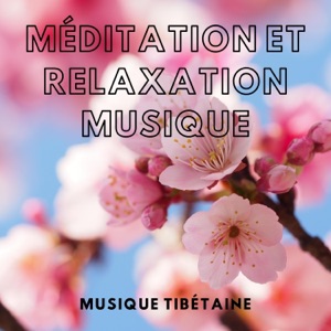 Méditation et relaxation musique, Bien-être et spa