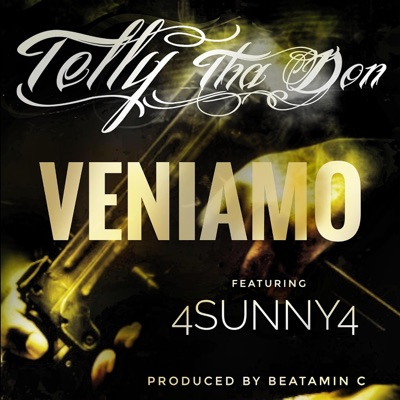 Veniamo (feat. 4Sunny4) - Single