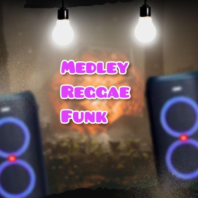 Song - Medley Reggae Funk - Especial Reggae Funk