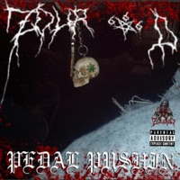 PEDAL PUSHIN (feat. DJ MURK) - Single - Zour D