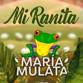 Mi Ranita artwork