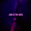 Look At The Skies - Single