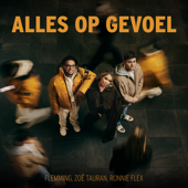 Alles Op Gevoel - FLEMMING, Zoë Tauran &amp; Ronnie Flex Cover Art