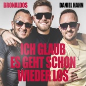 Ich glaub es geht schon wieder los (feat. Daniel Hahn) artwork