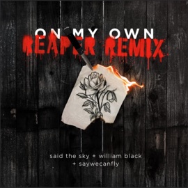 On My Own (REAPER Remix) Said The Sky, William Black & SayWeCanFly